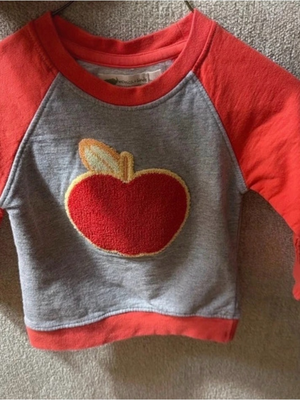 Kids Red & Gray Raglan Sweatshirt with Apple Applique